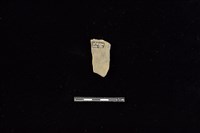 陶片藏品圖，第2張